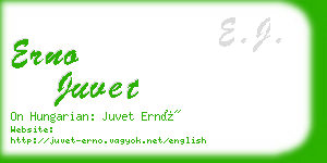 erno juvet business card